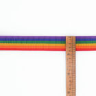 Guarnição colorida do Webbing do arco-íris do poliéster para a trela do animal de estimação